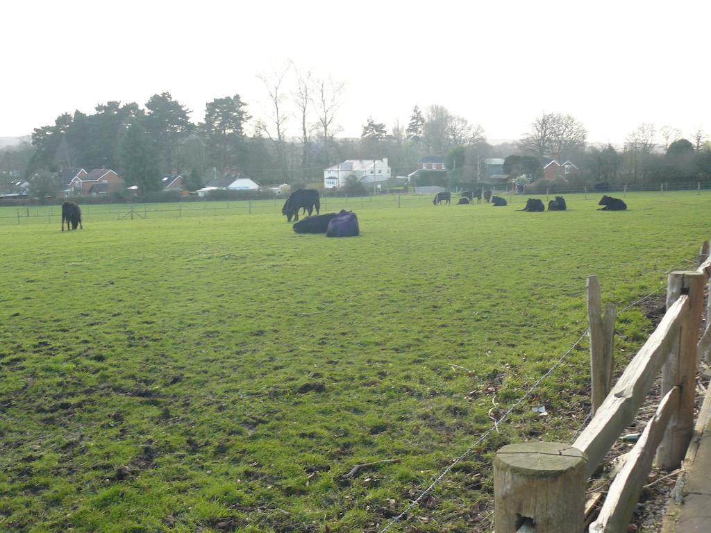 Forest View B&B Landford Quarto foto