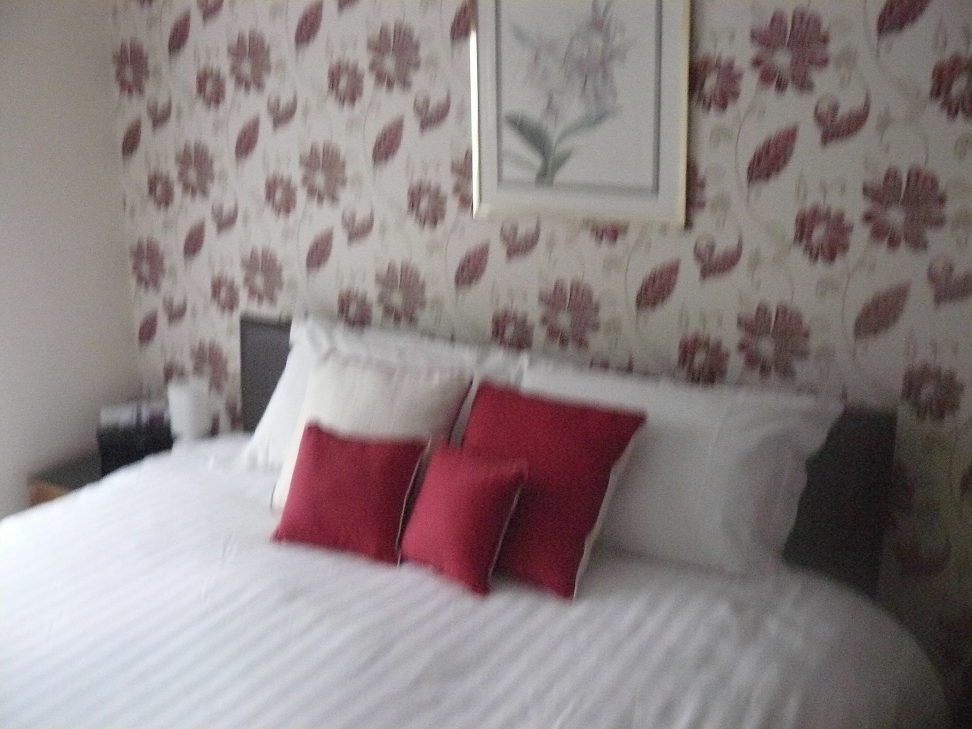 Forest View B&B Landford Exterior foto
